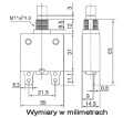 big_wymiary 0407005.jpg