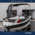 trident_480_2.jpg