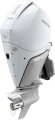 250hp_V8_PB_AMS_FS_silnik _zaburtowy_2.jpg