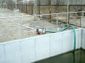 SST80a.jpg